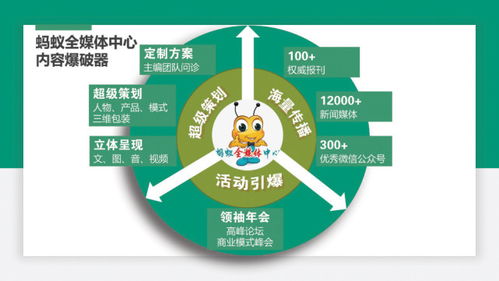 蚂蚁全媒体中心刘鑫炜解答 为什么精准营销选对了渠道但仍不奏效